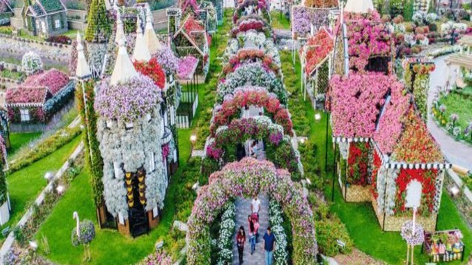 Dubai Miracle Garden Tickets – Explore 150 Million Blooming Flowers