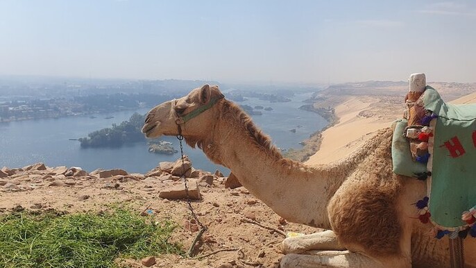 Private Tour Guide and Vehicle in Aswan – Language of Your Choice