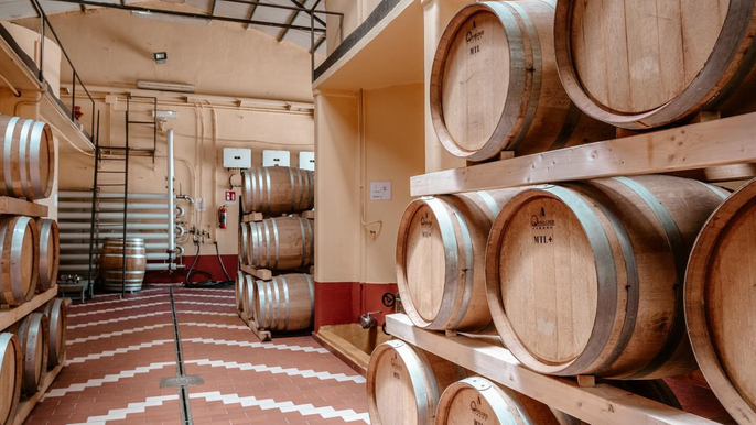 Winery visit & Tasting in Marsala