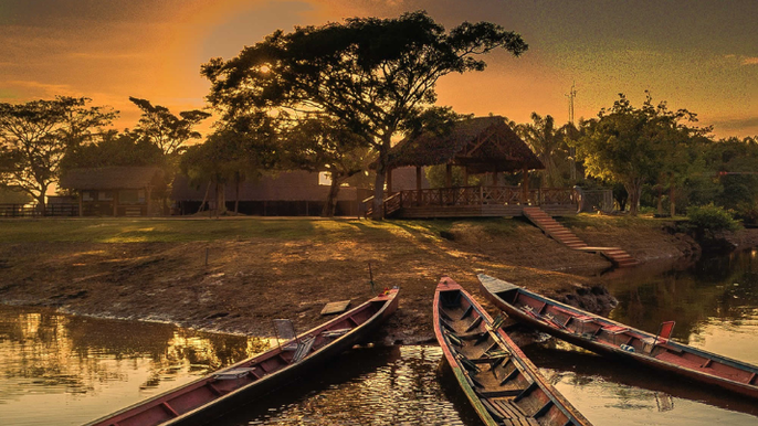 Discover the Bolivian Amazon: Jungla Eco Experience