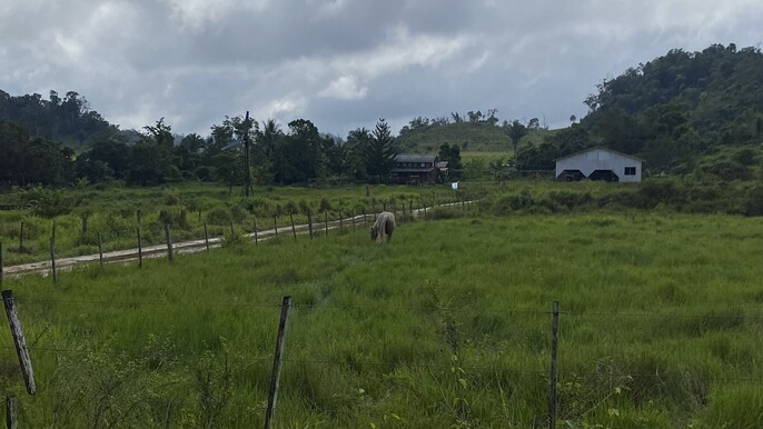 T11Av-Exploring Mennonite Communities & San Ignacio Market - Saturday only