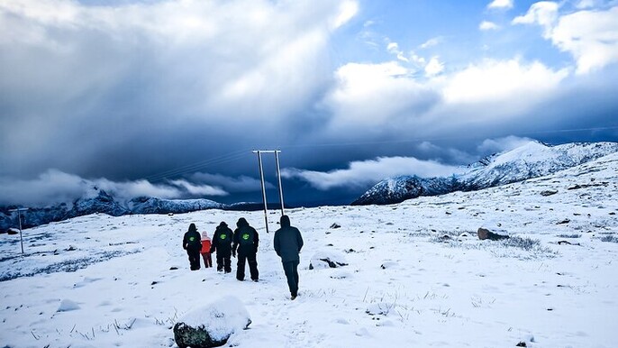 Tromsø Cruise Excursion Arctic Fjord Tour Free Pickup Photos