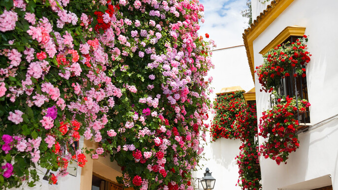 3 Day Cordoba, Sevilla & Costa del Sol from Madrid (C-231)