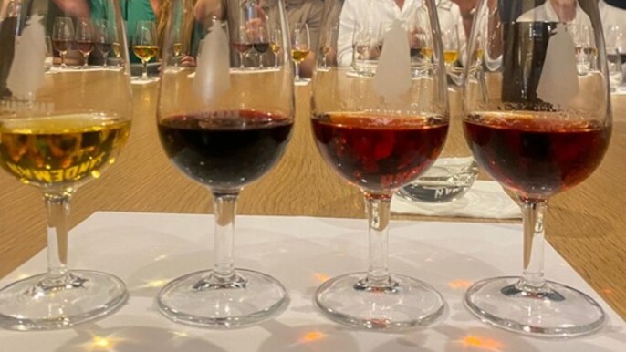 Private Port and Douro Wine Tasting and Pairing with a wine expert Sommelière