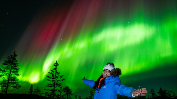 Rovaniemi: Guaranteed Northern Lights by Bus - Expert Aurora Hunters