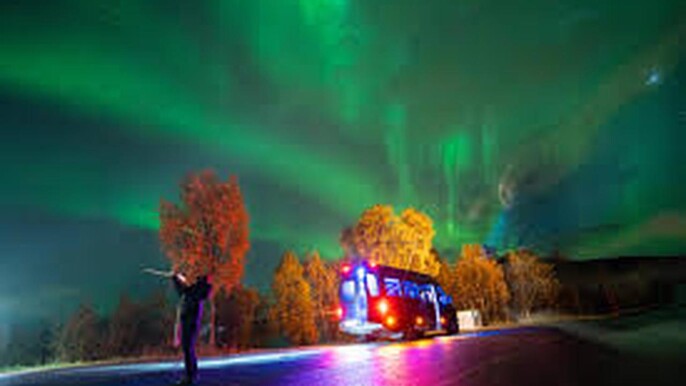 Exclusive Northern Lights in Minibus & Reindeer tour and museum