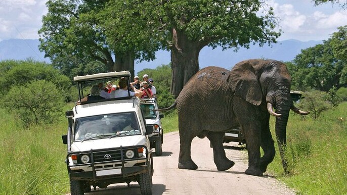 3 Day Tsavo West National Park Safari-Ngulia