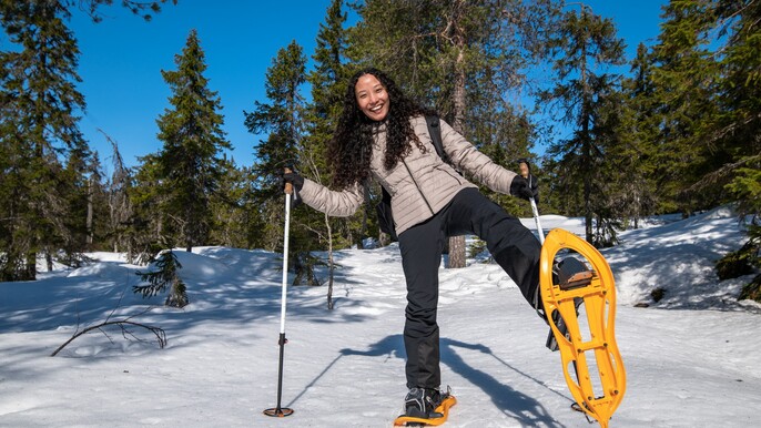 Vuokatti: Snowshoeing and wildlife watching