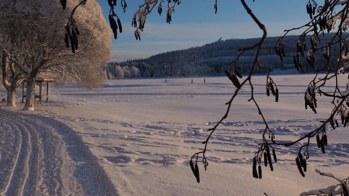 Vuokatti: Net fishing and ice fishing trip to Lake Nuas