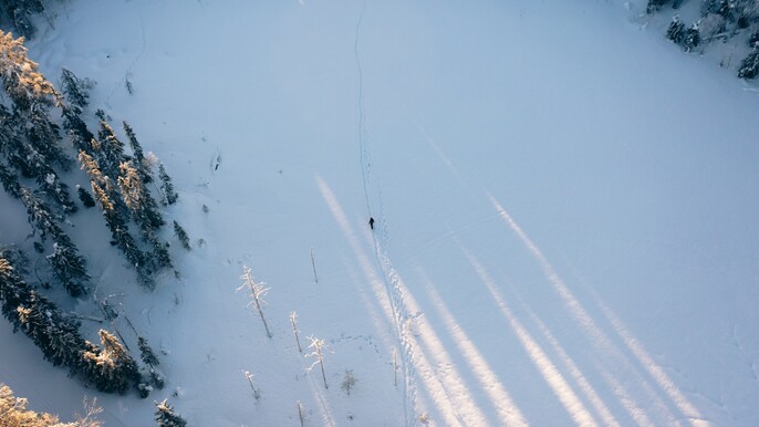 Vuokatti: Sleigh ride in the landscapes of Lake Nuasjärvi