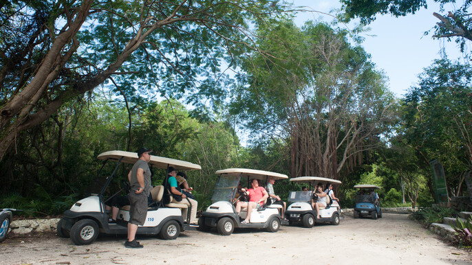 Discover Punta Cana Lagoon Indigenous Eyes with Golf Cart