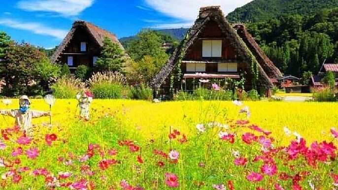 Shirakawa-go, Hida Takayama Day and Old Town Tour from Nagoya