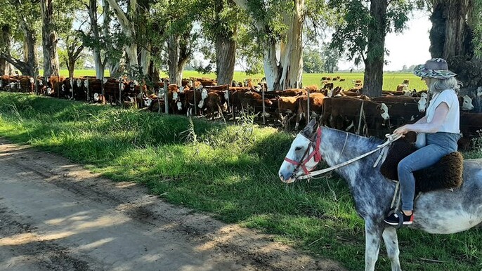 Horseback Riding Experience in Carlos Keen