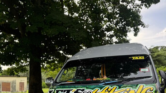 Wingfield Phillips Rain Forest Nature Trail Adventure