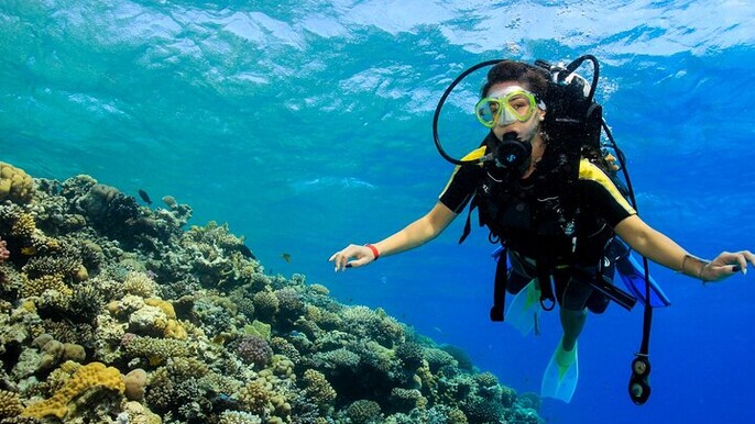 Ras Mohamed and White Island Snorkeling Trip and One Stop Diving-Sharm El Shiekh