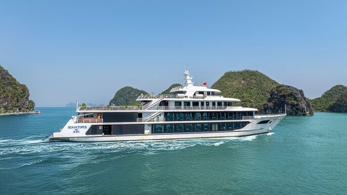 Sea Octopus Cruise Day Trip From Hanoi With Express Bus