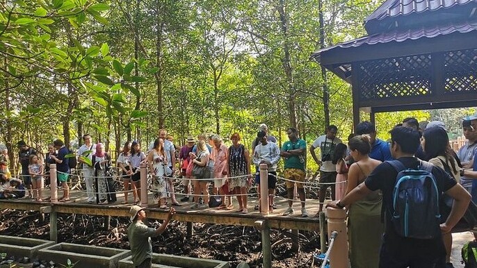Langkawi Mangrove Night Safari And Wildlife With BBQ Dinner