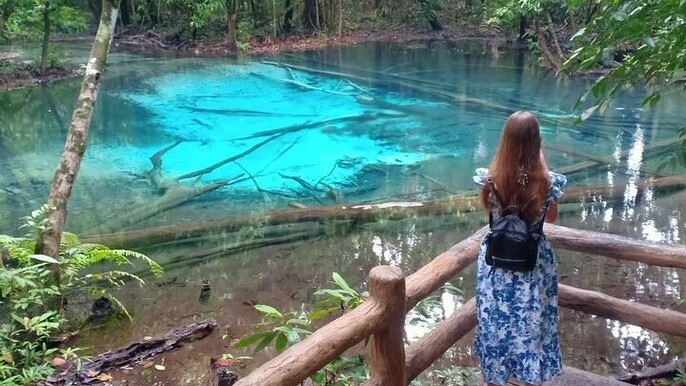 Discover Krabi - Emerald Pool, Hot Springs & Tiger Cave Temple