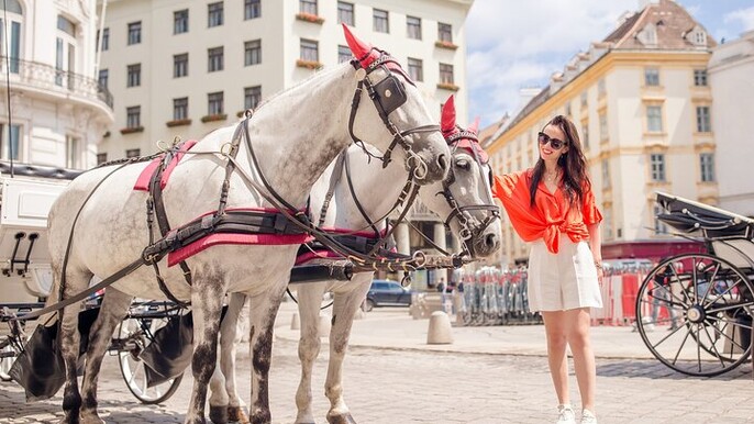 Vienna Sightseeing Private City Tour & Sacher Cake