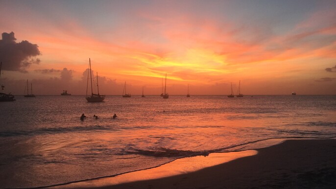 Sunset Cruise & Dinner