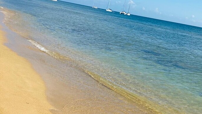 Vieques Snorkeling