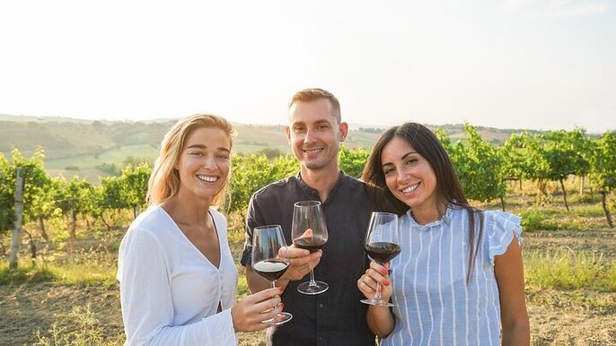 Cousiño Macul Private Vineyard Tour with 6 Wine Tastings