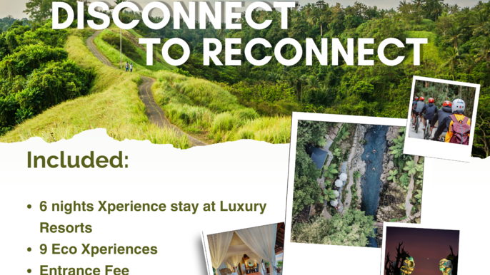 7 DAYS 6 NIGHTS BALI DISCONNECT TO RECONNECT
