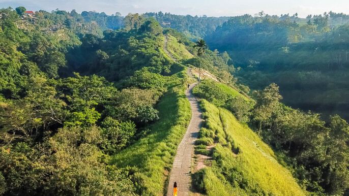 Morning Trekking at Bukit Cinta Ubud