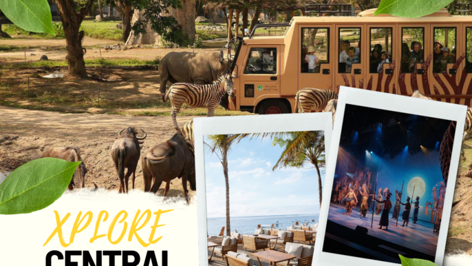 Bali Wonders: Safari, Spectacle & Souvenir Delight