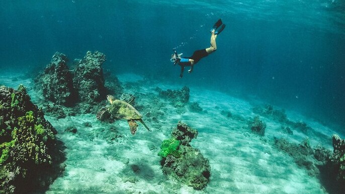 Full Day Cancun ATV Zipline and Cenote Adventure with Snorkeling