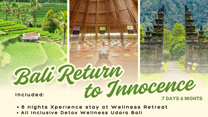 7 DAYS 6 NIGHTS BALI RETURN TO INNOCENCE