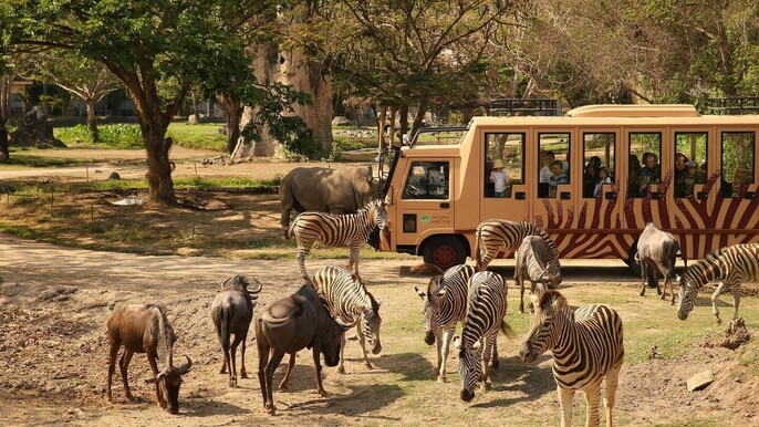 Embark on a Wild Adventure: Bali Safari Entrance Passes Await