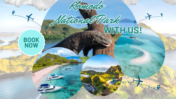 Full Day Tour of Komodo National Park