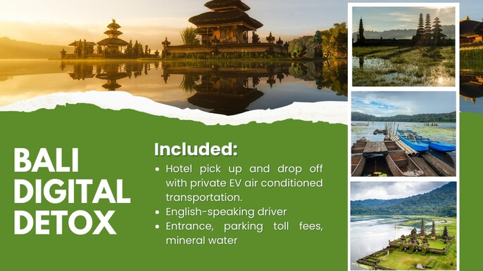 BALI DIGITAL DETOX