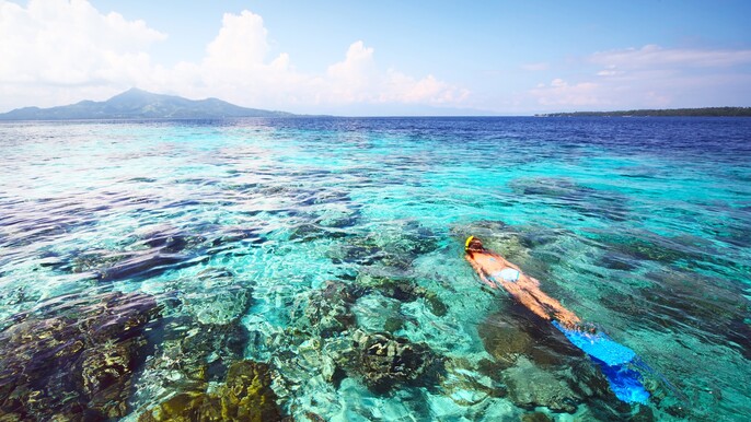 4D3N BUNAKEN - MANADO - MINAHASA