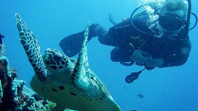 Underwater Odyssey: Exploring Nusa Lembongan or Nusa Penida's Deep Blue Depths