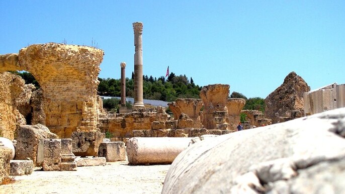 Carthage Sidibousaid Bardo Museum and Medina Self-Guided Tour
