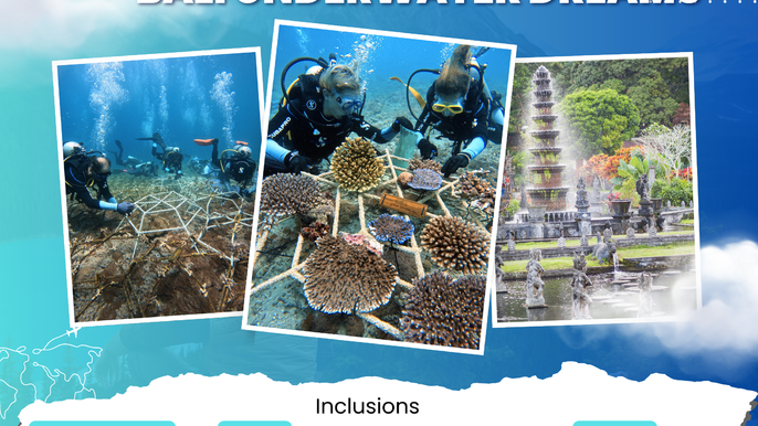 BALI UNDERWATER DREAMS