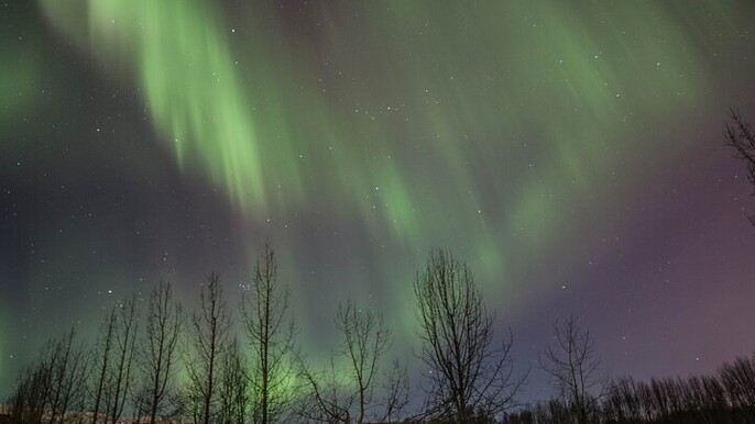 Northern Lights Tour from Akureyri