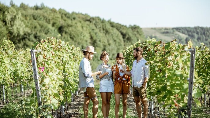 Haras de Pirque Private Vineyard Tour and Wine Tastings
