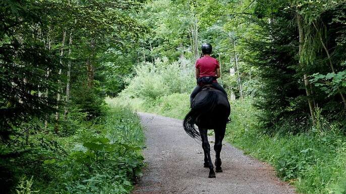 Half-day Cancun: Horseback riding, ATV, zipline & cenote
