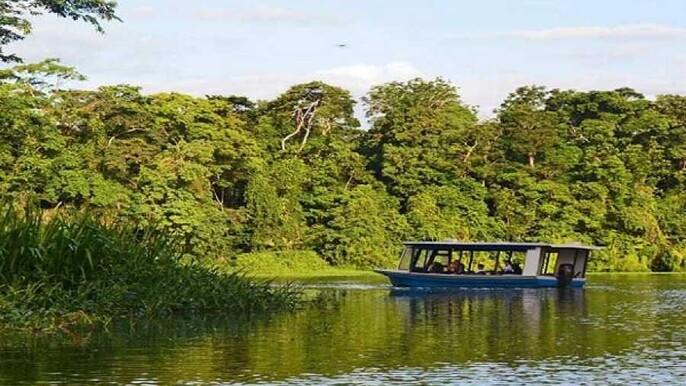 Tamarindo - Tropical Jungle Safari