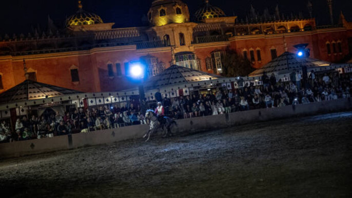 Sunset Camel Ride in the Palmeraie & Chez Ali Fantasia Dinner Show with Transport