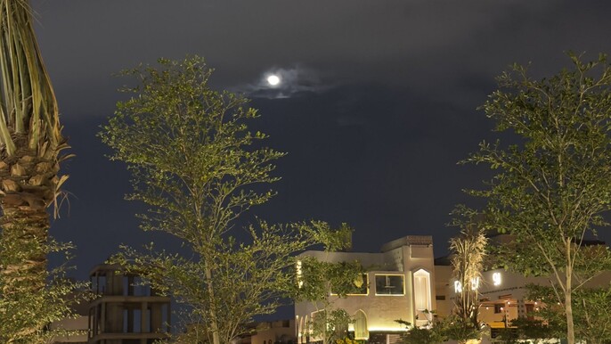 A special tour in Al-Maghislah and Jabal Ayr in Al Madinah