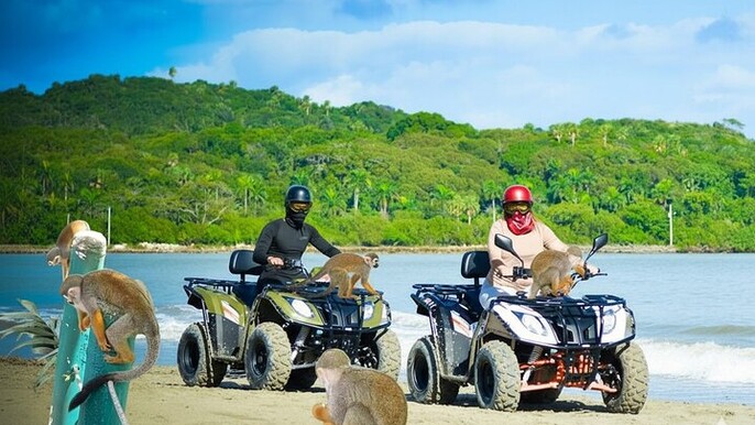 Combo: Adventure in ATV and Monkeys