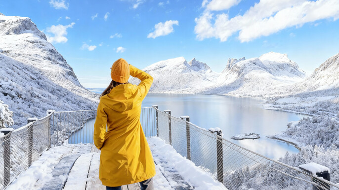 From Tromso: Senja National Scenic Route Full Day Tour