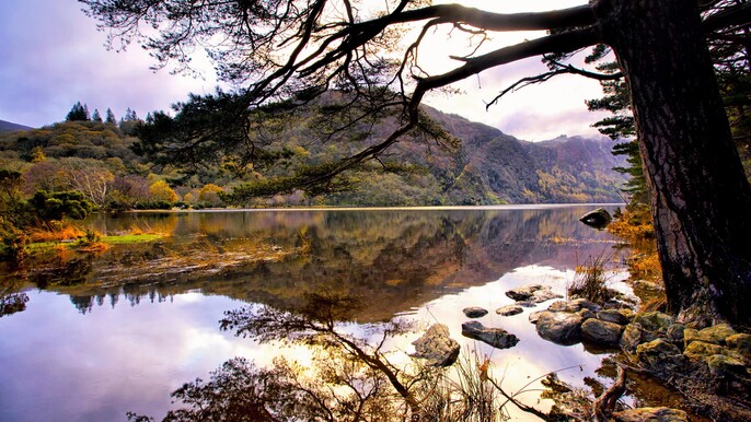 Wicklow, Powerscourt & Glendalough Day Tour from Dublin. Guided