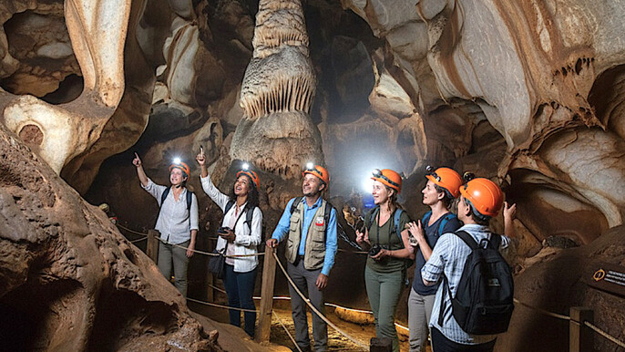 Half Day Cradle Of Humankind Tour