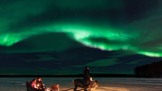 Reindeer Experience and Northern Lights
