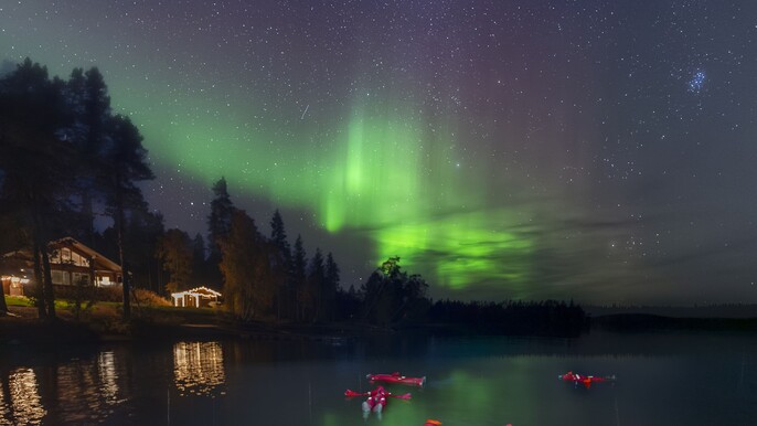 Ice Floating in Forest Lake with Aurora Borealis